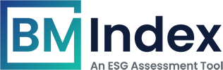 BM-INDEX logo